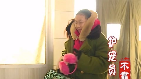 全家去哪儿 极速前进千里护镖上