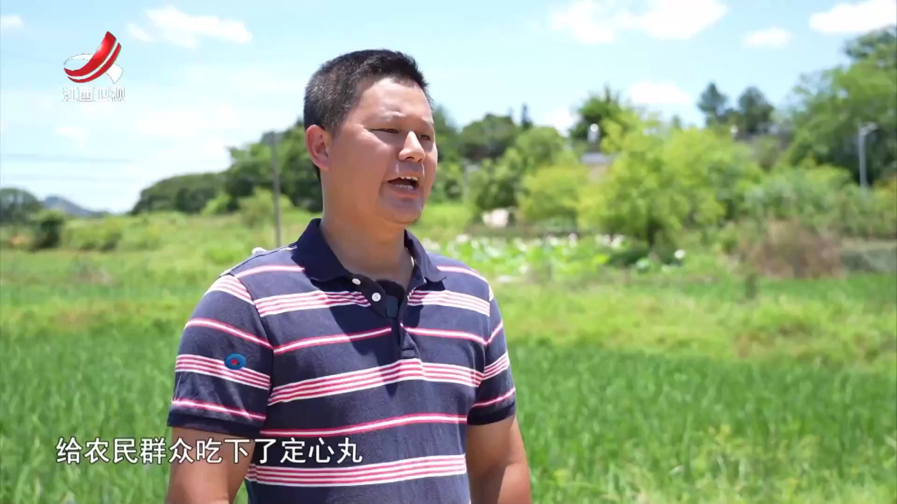 社会传真 全面深化改革在身边——澎湃改革新动力 强农富民美乡村