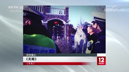 天网 《天网》 20200619 寻车