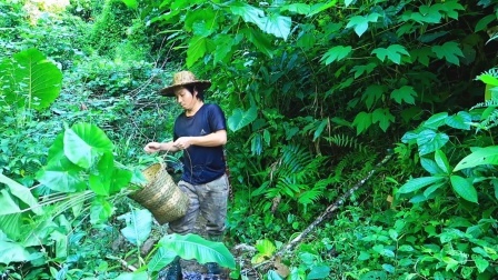 野外花园已经建造完成，挖点野芋头种植，瞬间档次提升