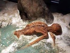经典传奇 五千年干尸诅咒之谜