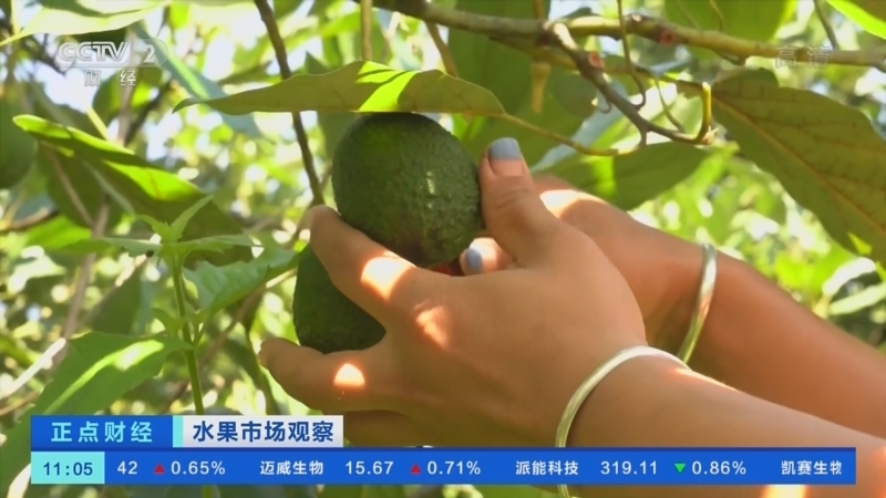 正点财经 《正点财经》 20221215 11:00