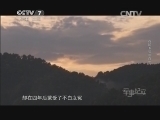 军事纪实 《军事纪实》 20140403 抗日英烈祭② 我的爷爷张自忠