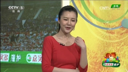 我爱世界杯 2014巴西世界杯 梅西破门造乌龙伊瓜因助攻 阿根廷2-1波黑