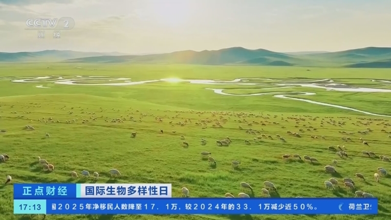 正点财经 《正点财经》 20260522 17:00