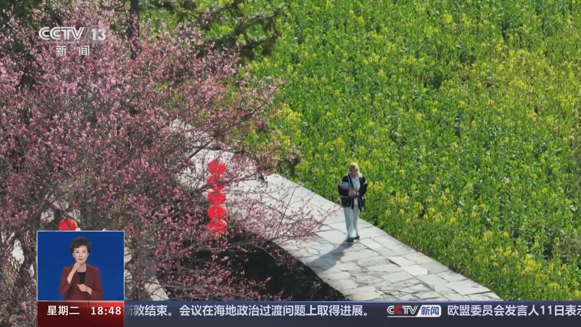 共同关注 《共同关注》 20240312