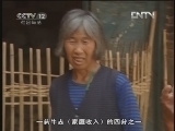 天网 《天网》20121123 遗弃的牛头