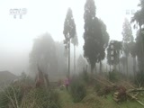 地理中国 《地理中国》 20160707 血色谜谷（上）