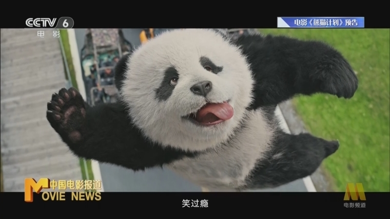 中国电影报道 《中国电影报道》 20240929