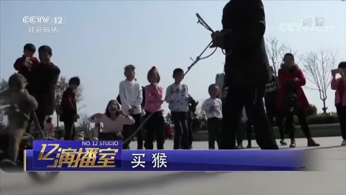 热线12 《热线12》 20180902 买猴