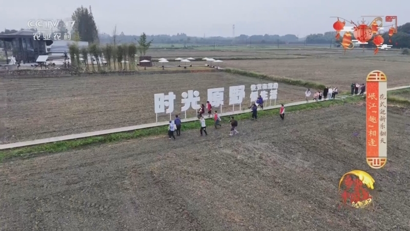 《乡村运动会》 20250202 花式迎新乐翻天 岷江“趣”相逢
