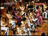 风华国乐 风华国乐 2010年 第140期
