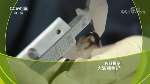 走近科学 《走近科学》 20190214 大海捕鱼记