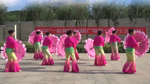 广场舞 广场舞《梅花泪》
