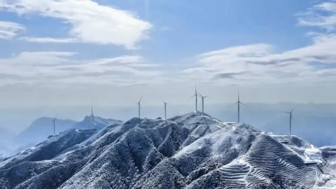 红绿灯20210201