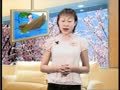 新语文小天才 新语文小天才02-第十三课认错了妈妈