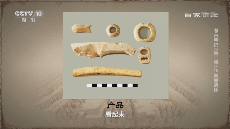 百家讲坛 《百家讲坛》 20220918 考古手记（第二部） 16 秦都遗珍