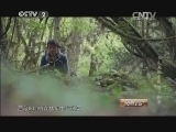 消费主张 《消费主张》 20140501 舌尖下的故事——甜蜜