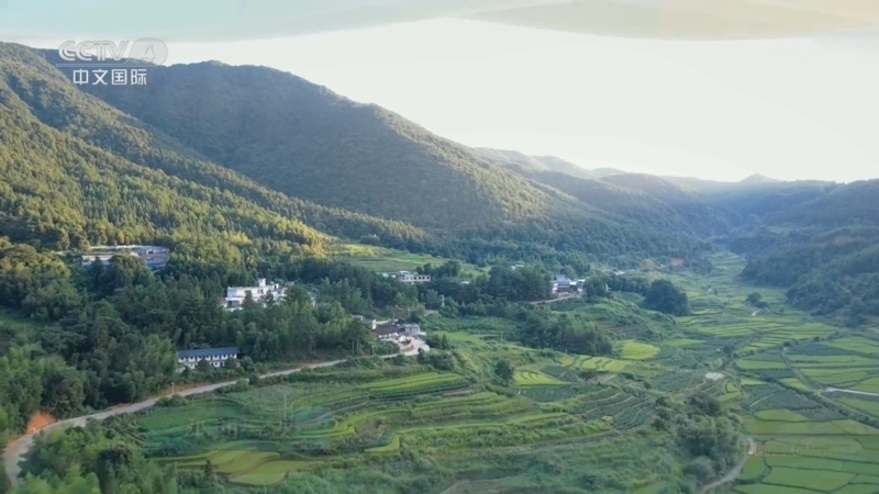 《远方的家》 20260311 中国自然秘境 云间鹤舞 青山叠翠