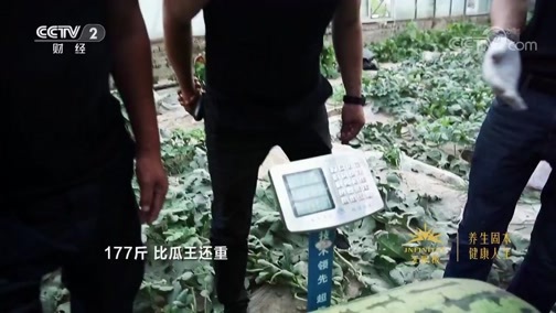 消费主张 《消费主张》 20200609 这个夏季 西瓜甜不甜？