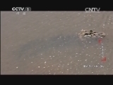 动物世界 《动物世界》 20140728 鳄鱼漂流记（下）