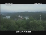 见证 《见证》 20130628 缉毒先锋 第二集 鹰眼追踪