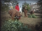 快乐体验 《快乐体验》 20130314