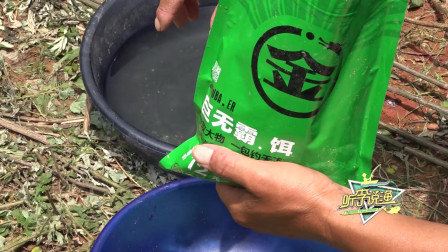 最简单但实用性的开饵方式和钓友们一起分享