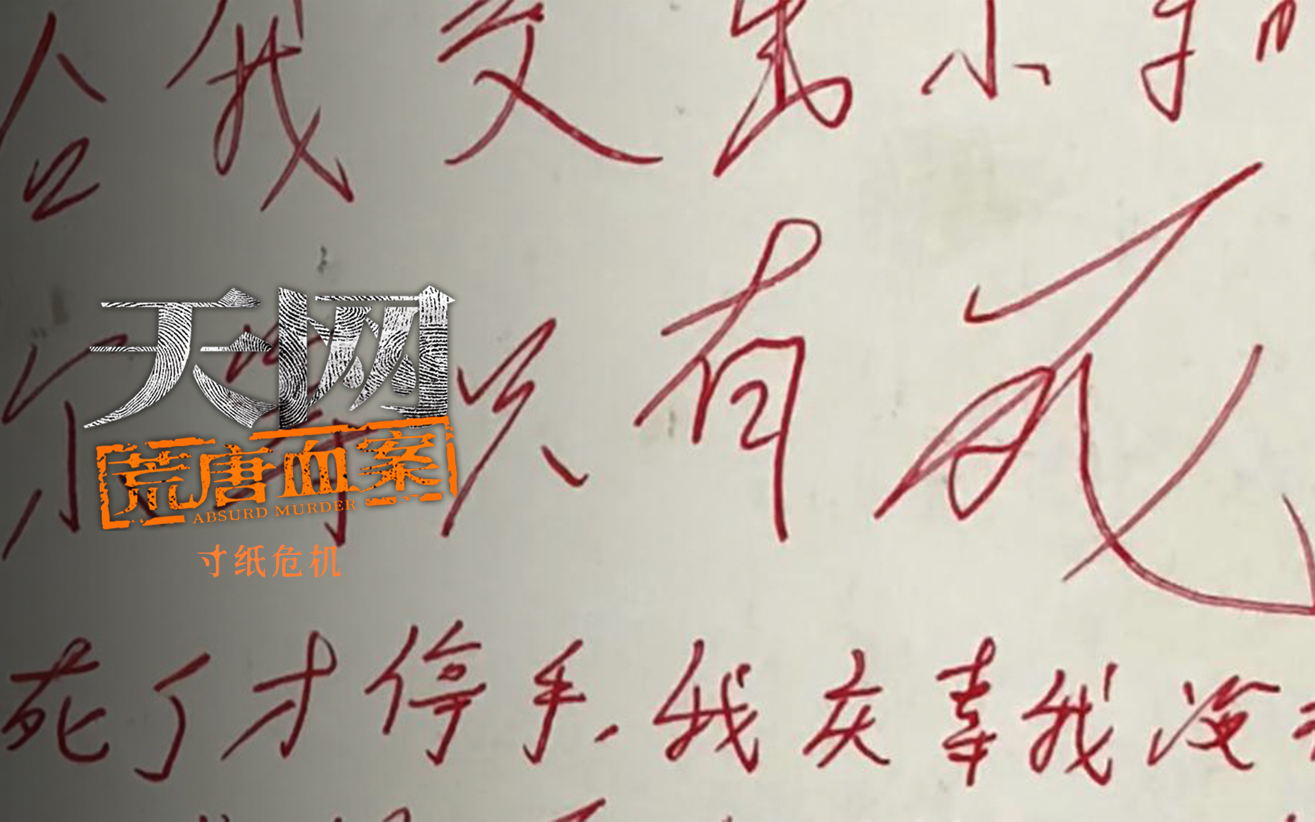 天网:荒唐血案 谁是赶羊人
