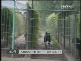 天网 《天网》 20121002 八集系列片《警·犬》——出师之地（下）