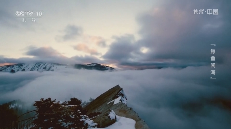 《地理·中国》 20260114 悬崖上的秘密1·“鲸鱼闹海”