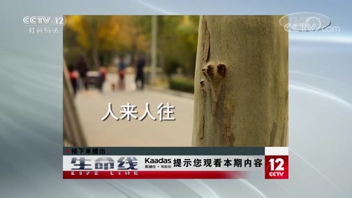 生命线 《生命线》 20191218
