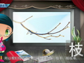 魅力汉字学习上 形声字第一篇