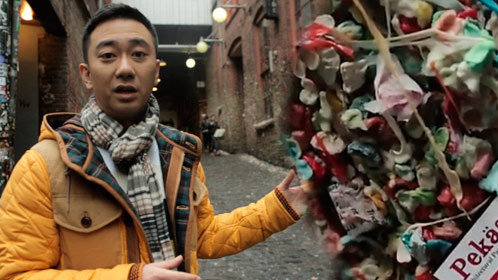 王自健玩转西雅图 零距离接触全球奇葩景点