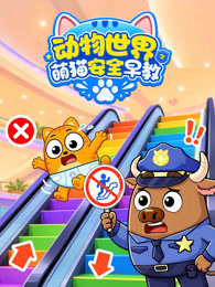 动物世界之萌猫安全早教