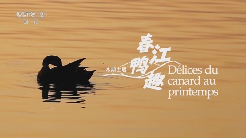 《巅峰食刻——中法厨王竞技》 20240907 春江鸭趣