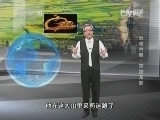 地理中国 《地理中国》 20140614 周末特别节目——地球档案-萍踪龙影