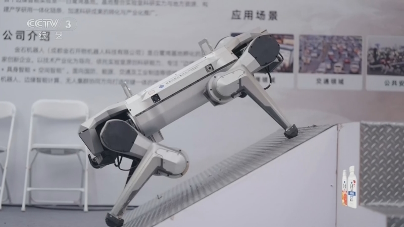 《文化十分》 20260504