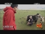 远方的家 江河万里行 第131集 多雄藏布 溯源多雄藏布 20141029《远方的家》
