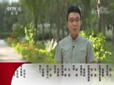今日说法 《今日说法》 20171003 乡村警察故事