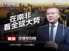 从南非G20峰会看全球大势