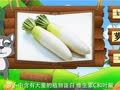 看图识物 黄瓜 萝卜 茄子