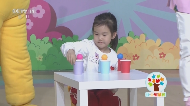 小小智慧树 《小小智慧树》 20230303