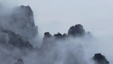 小强热线20210112