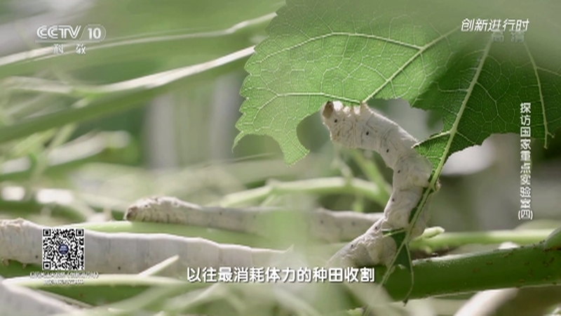 《创新进行时》 20210504 探访国家重点实验室（四）