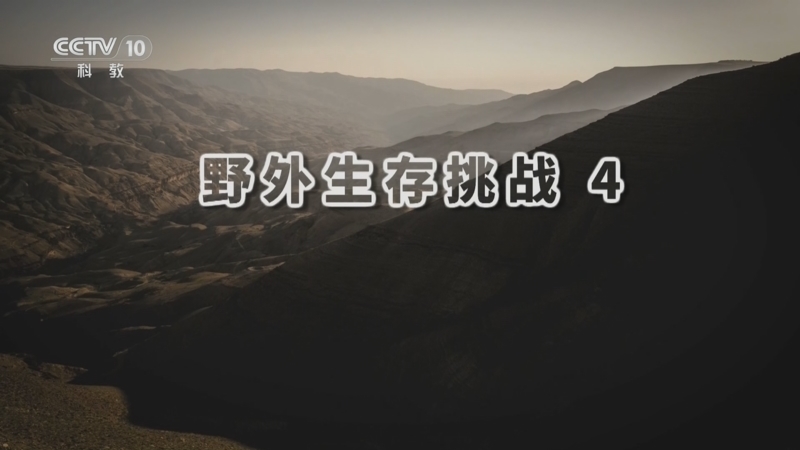 自然传奇 《自然传奇》 20260124 野外生存挑战 4