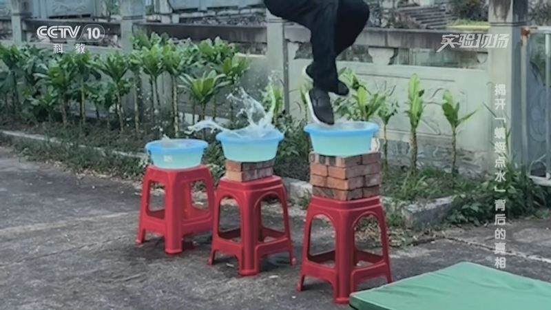 《实验现场》 20260219 揭开“蜻蜓点水”背后的真相