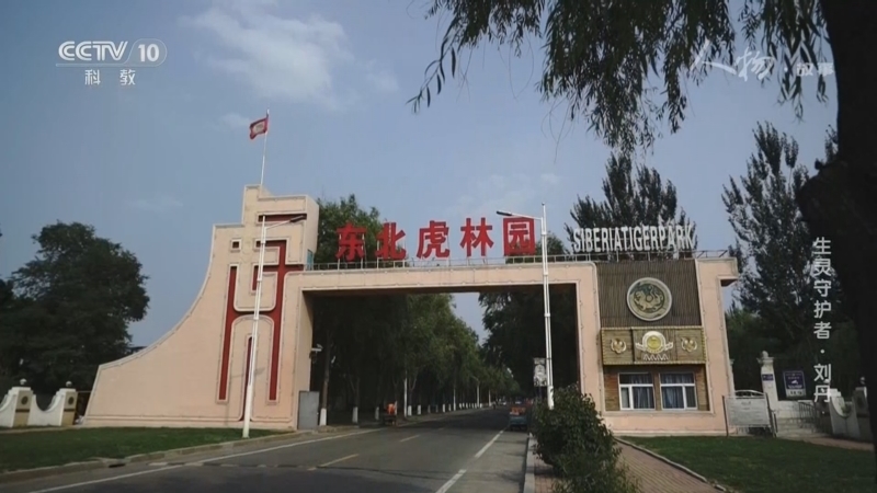 《人物·故事》 20260217 生灵守护者·刘丹