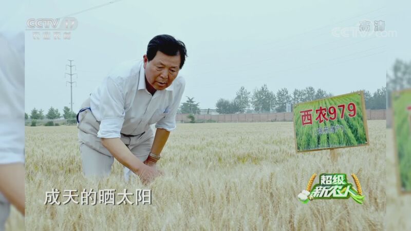 超级新农人 《超级新农人》 20200830 第三站 陕西杨凌