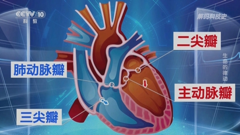 解码科技史 《解码科技史》 20251029 生命的律动